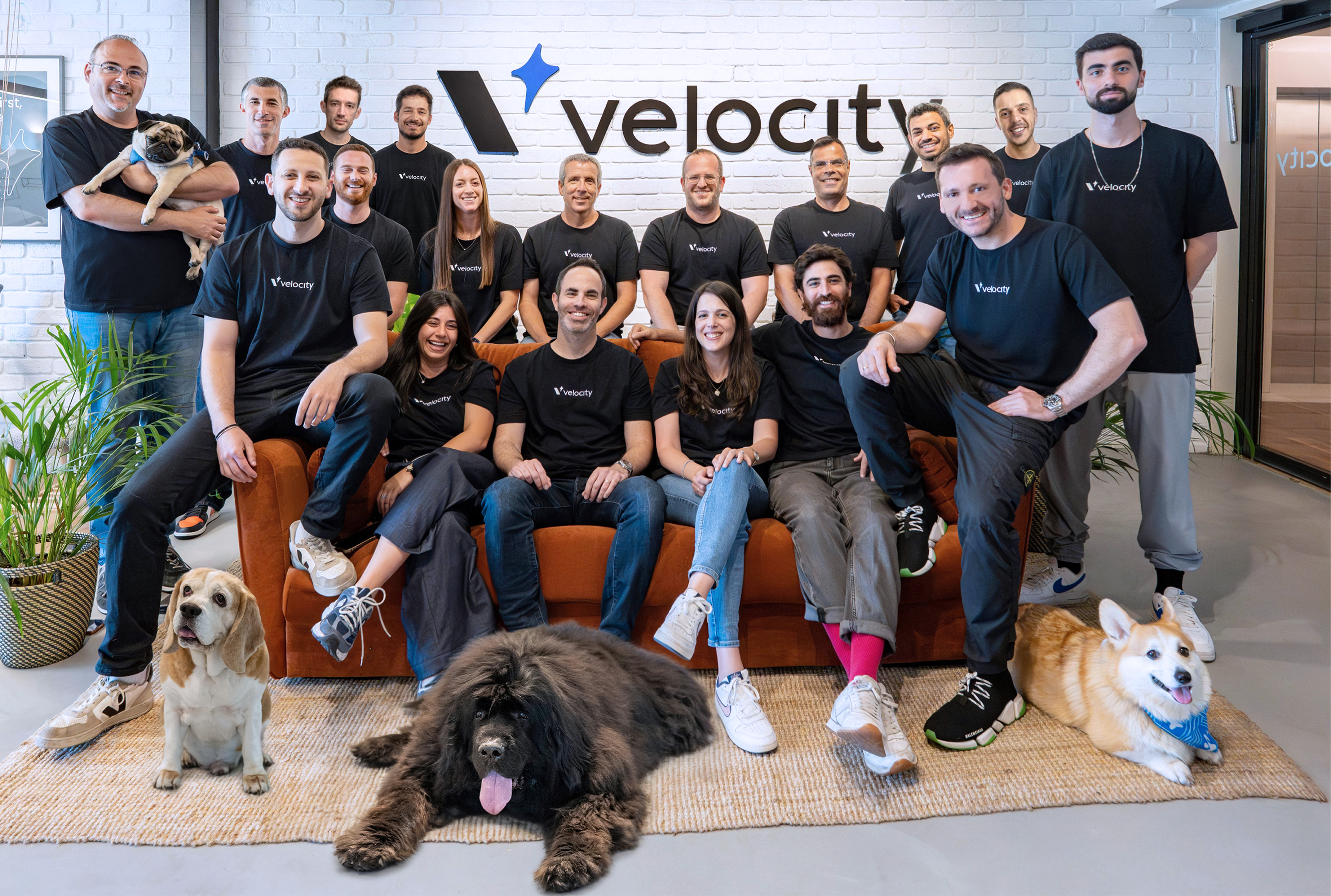 The Velocity team
